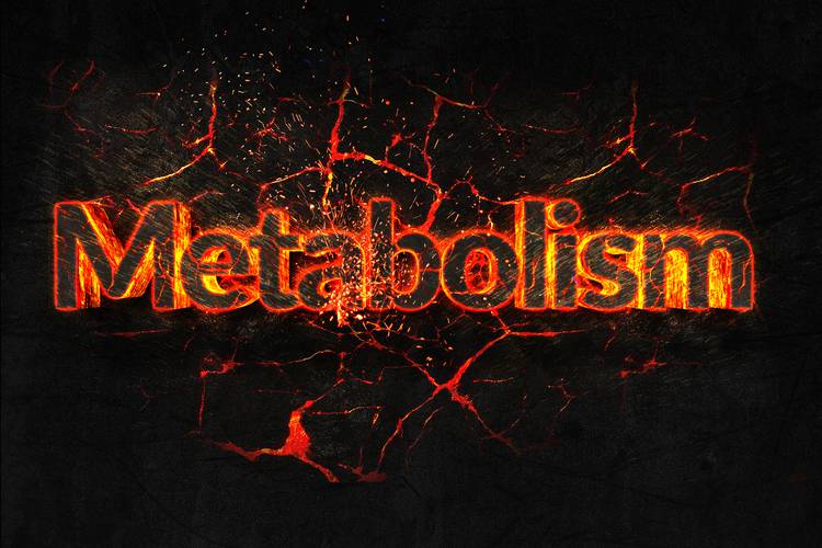 Przyspieszyć metabolizm - jak to zrobić?